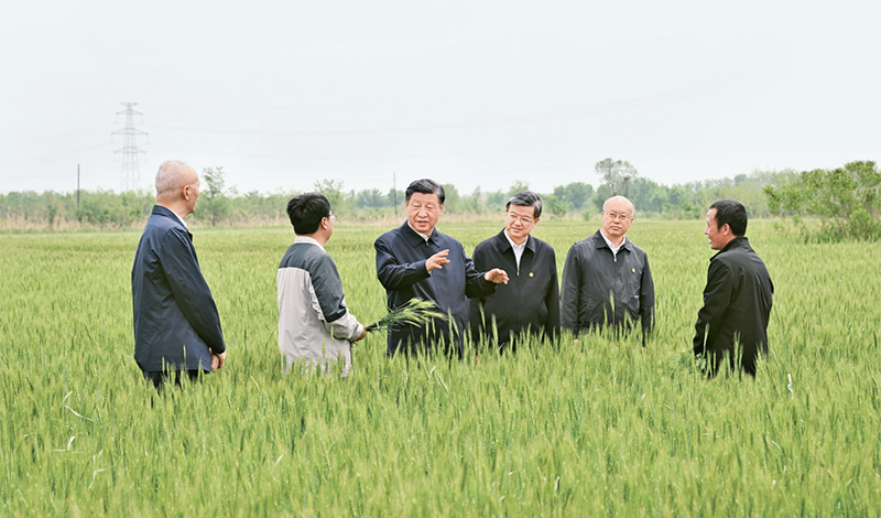 2023年5月11日至12日，中共中央總書記、國家主席、中央軍委主席習近平在河北考察，并主持召開深入推進京津冀協同發展座談會。這是11日上午，習近平在滄州市黃驊市舊城鎮仙莊片區旱堿地麥田考察時，同種植戶、農技專家親切交流。 新華社記者 李學仁/攝